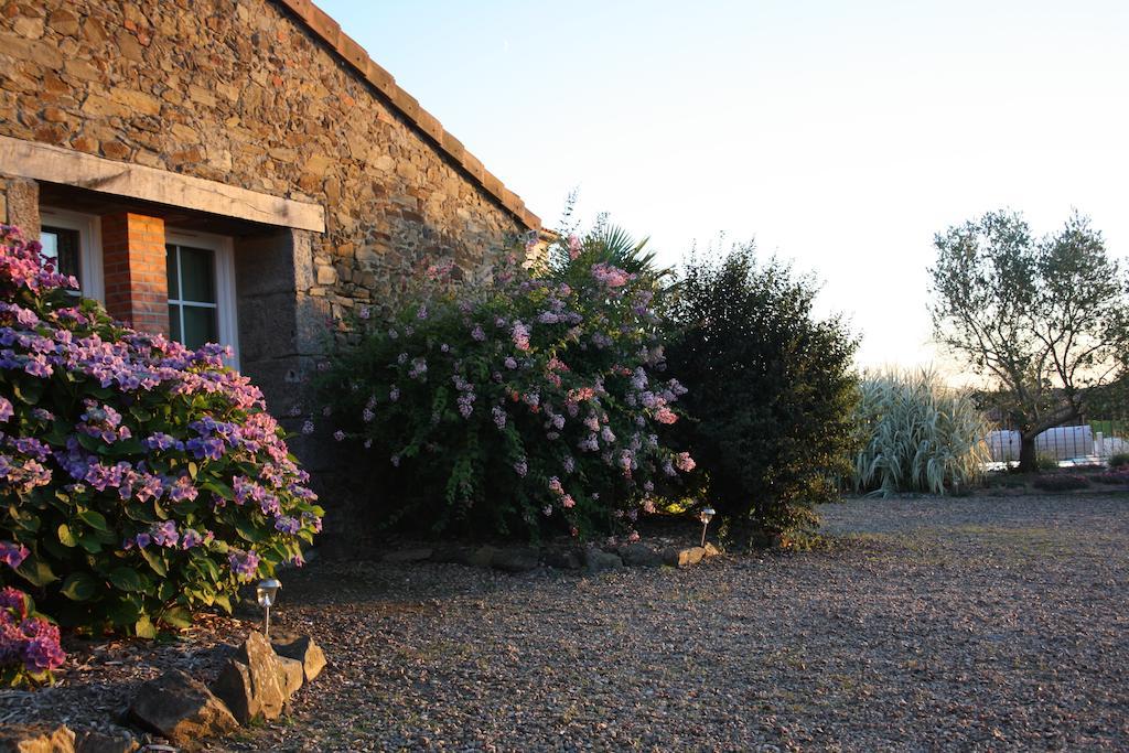 Bed & Breakfast La Champreniere