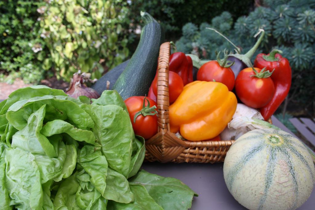 Bed & Breakfast La Champreniere Saint-Paul-en-Pareds